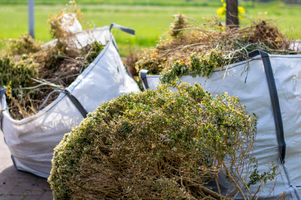 Best Attic Cleanout Services  in West Wyomissing, PA