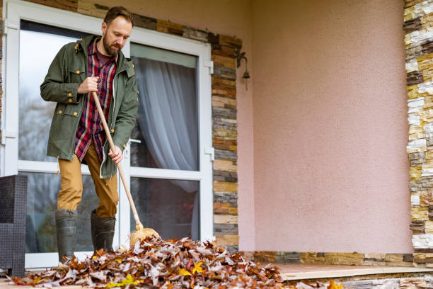 Best Basement Cleanout Services  in West Wyomissing, PA